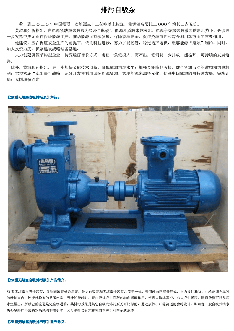 排污自吸泵 封閉水域管理的自動化解決方案——基于《自吸泵.pdf》的技術解析與產品選型未來趨勢